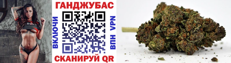 Купить закладки  Сурск  Каннабис ГИДРОПОН 